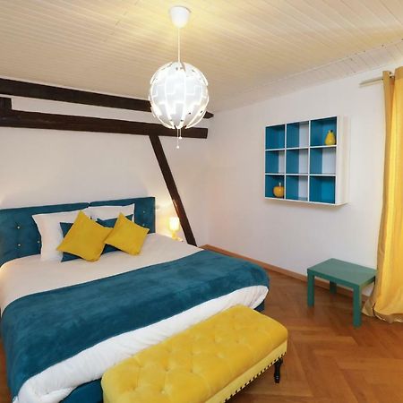 Maison Centre Ville Colmar Jacuzzi Jardin Et Climatisation Dış mekan fotoğraf