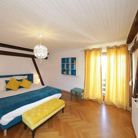 Maison Centre Ville Colmar Jacuzzi Jardin Et Climatisation Dış mekan fotoğraf