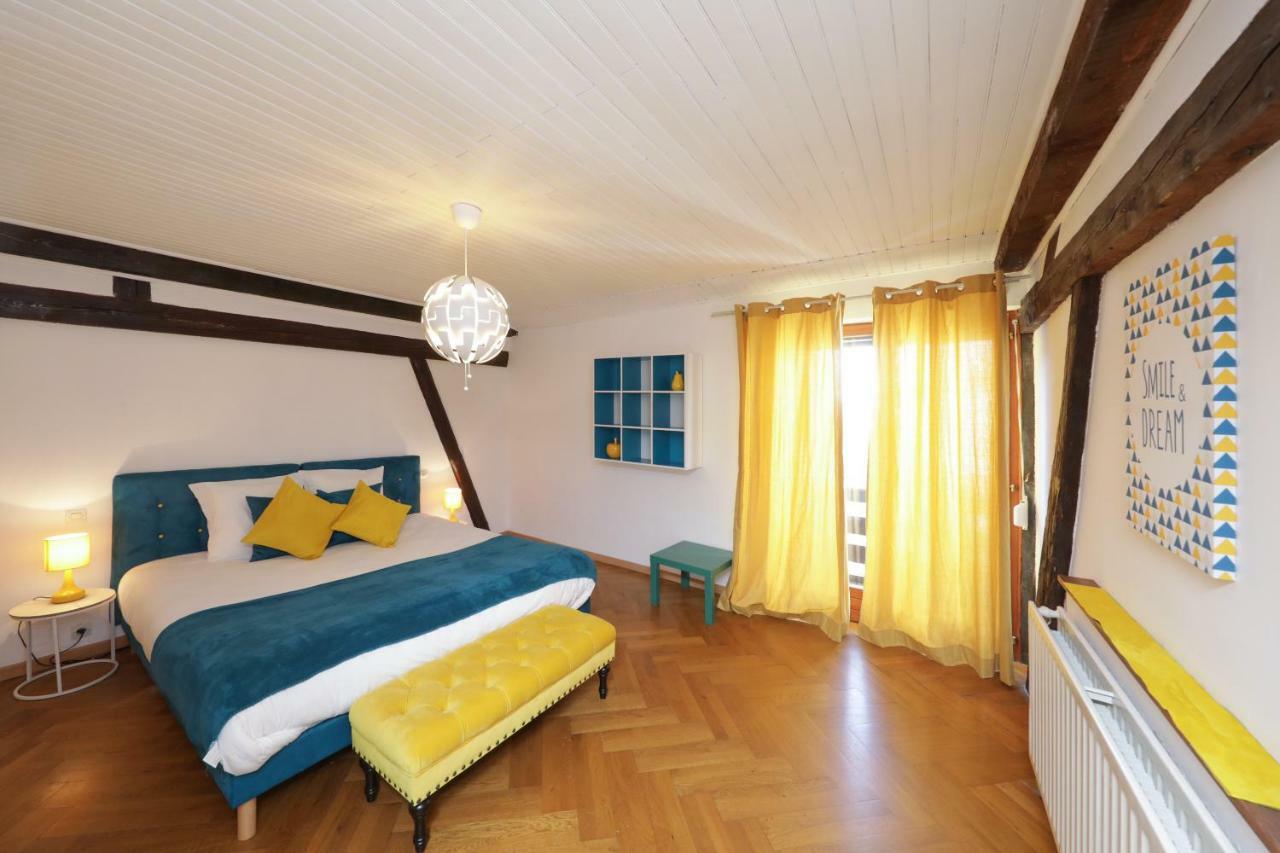 Maison Centre Ville Colmar Jacuzzi Jardin Et Climatisation Dış mekan fotoğraf